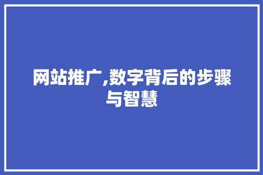 网站推广,数字背后的步骤与智慧 百度SEO
