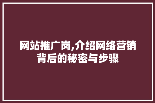 网站推广岗,介绍网络营销背后的秘密与步骤 百度SEO