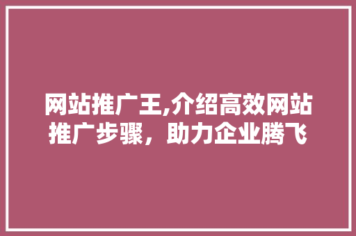 网站推广王,介绍高效网站推广步骤，助力企业腾飞 百度SEO