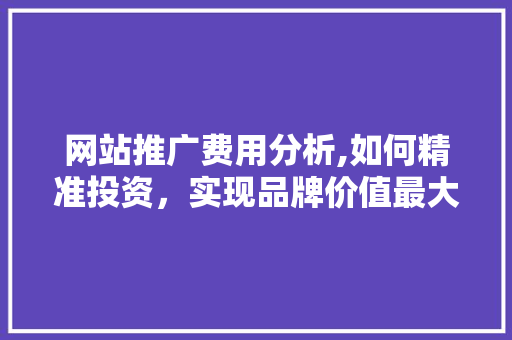 网站推广费用分析,如何精准投资，实现品牌价值最大化 必应SEO