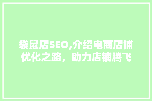 袋鼠店SEO,介绍电商店铺优化之路，助力店铺腾飞 GoogleSEO