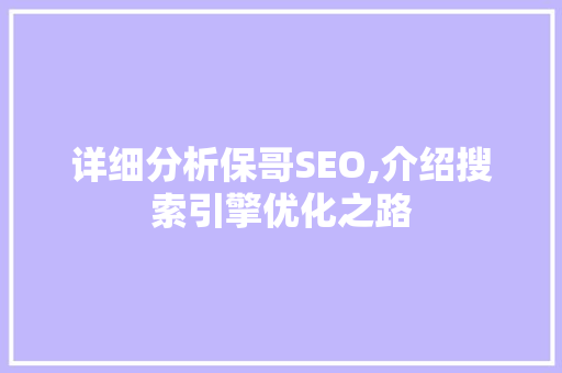 详细分析保哥SEO,介绍搜索引擎优化之路 搜狗SEO