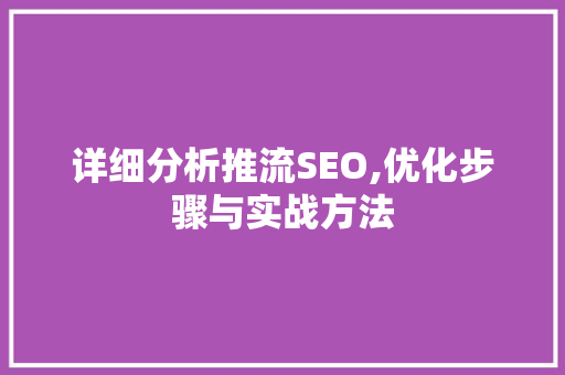 详细分析推流SEO,优化步骤与实战方法 百度SEO