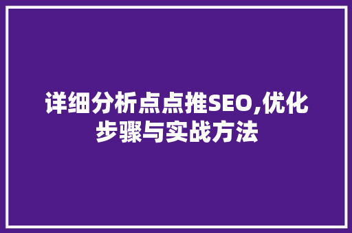 详细分析点点推SEO,优化步骤与实战方法 百度SEO