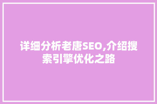 详细分析老唐SEO,介绍搜索引擎优化之路 GoogleSEO