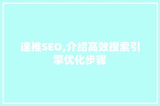 速推SEO,介绍高效搜索引擎优化步骤 必应SEO