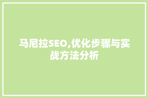 马尼拉SEO,优化步骤与实战方法分析 GoogleSEO