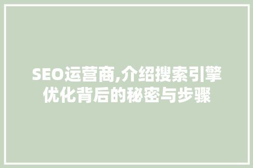 SEO运营商,介绍搜索引擎优化背后的秘密与步骤