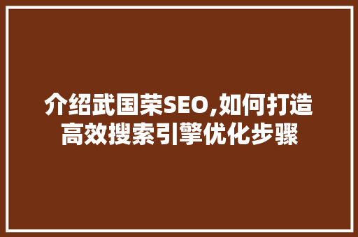 介绍武国荣SEO,如何打造高效搜索引擎优化步骤
