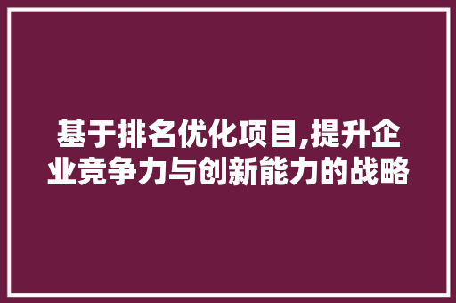 基于排名优化项目,提升企业竞争力与创新能力的战略布局