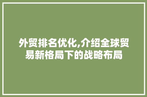 外贸排名优化,介绍全球贸易新格局下的战略布局