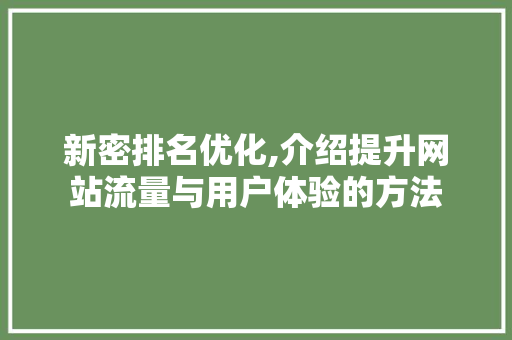 新密排名优化,介绍提升网站流量与用户体验的方法