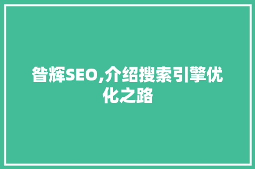 昝辉SEO,介绍搜索引擎优化之路 必应SEO