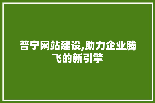 普宁网站建设,助力企业腾飞的新引擎
