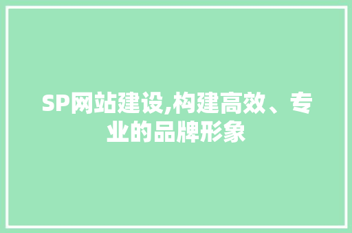 SP网站建设,构建高效、专业的品牌形象 必应SEO