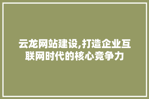 云龙网站建设,打造企业互联网时代的核心竞争力 GoogleSEO