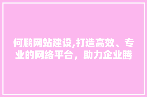何鹏网站建设,打造高效、专业的网络平台，助力企业腾飞 百度SEO