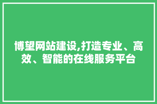 博望网站建设,打造专业、高效、智能的在线服务平台 必应SEO
