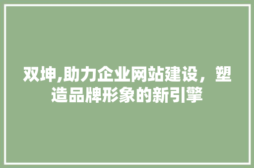 双坤,助力企业网站建设，塑造品牌形象的新引擎 必应SEO