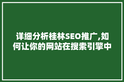 详细分析桂林SEO推广,如何让你的网站在搜索引擎中脱颖而出 必应SEO