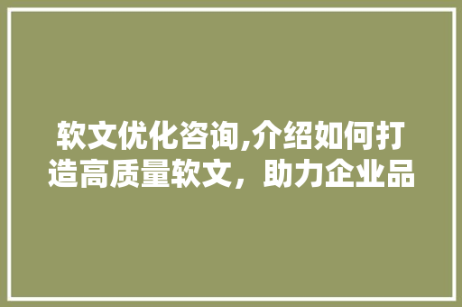 软文优化咨询,介绍如何打造高质量软文，助力企业品牌传播 神马SEO