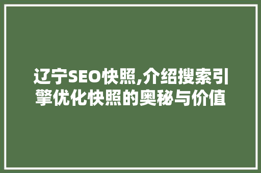 辽宁SEO快照,介绍搜索引擎优化快照的奥秘与价值 GoogleSEO