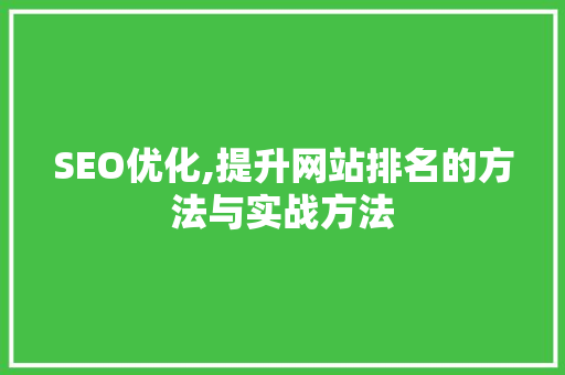 SEO优化,提升网站排名的方法与实战方法 GoogleSEO