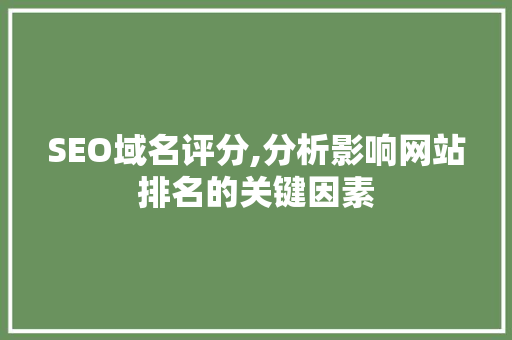 SEO域名评分,分析影响网站排名的关键因素