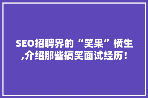 SEO招聘界的“笑果”横生,介绍那些搞笑面试经历！