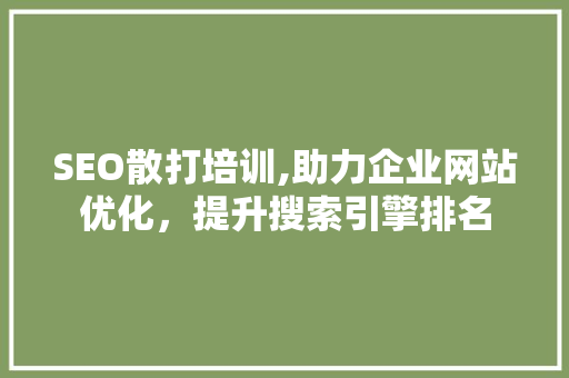 SEO散打培训,助力企业网站优化，提升搜索引擎排名