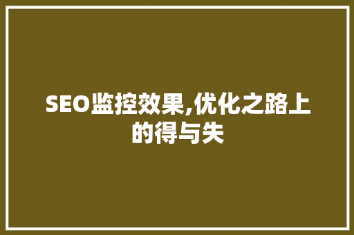 SEO监控效果,优化之路上的得与失 百度SEO