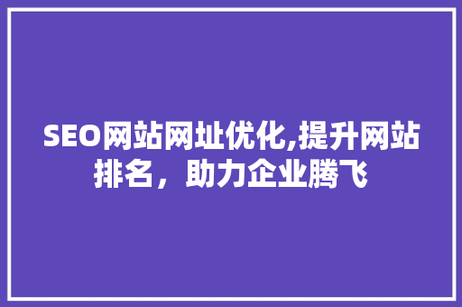 SEO网站网址优化,提升网站排名，助力企业腾飞