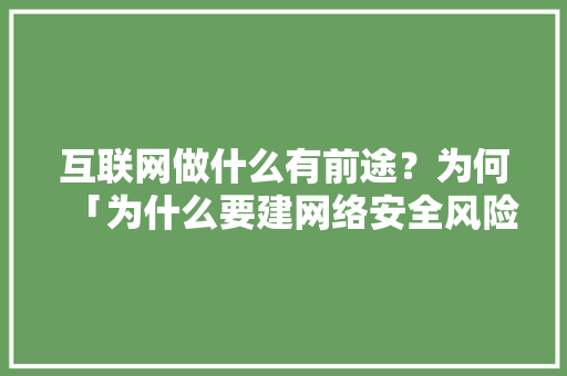 互联网做什么有前途？为何「为什么要建网络安全风险评估机制」 互联网做什么有前途？为何「为什么要建网络安全风险评估机制」 神马SEO