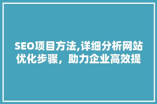 SEO项目方法,详细分析网站优化步骤，助力企业高效提升排名 搜狗SEO