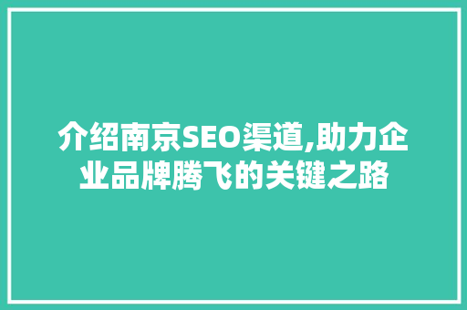 介绍南京SEO渠道,助力企业品牌腾飞的关键之路 神马SEO
