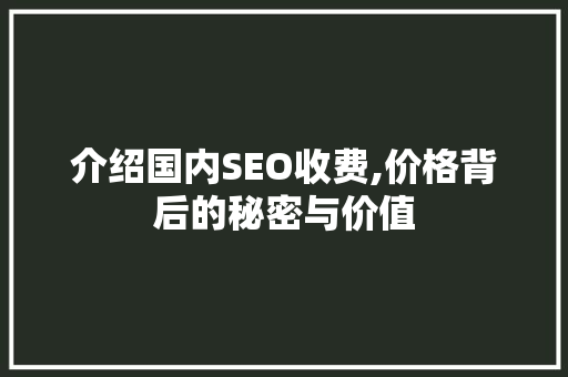 介绍国内SEO收费,价格背后的秘密与价值