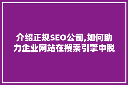 介绍正规SEO公司,如何助力企业网站在搜索引擎中脱颖而出