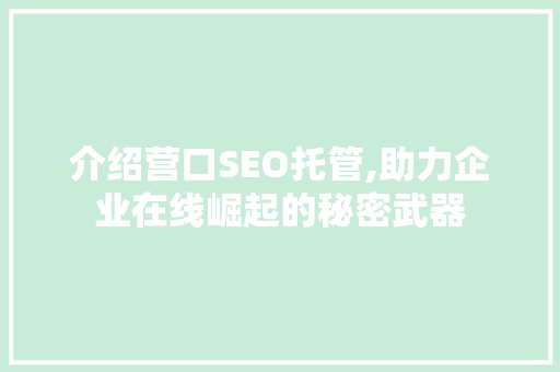 介绍营口SEO托管,助力企业在线崛起的秘密武器