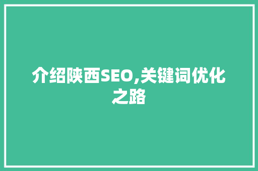 介绍陕西SEO,关键词优化之路