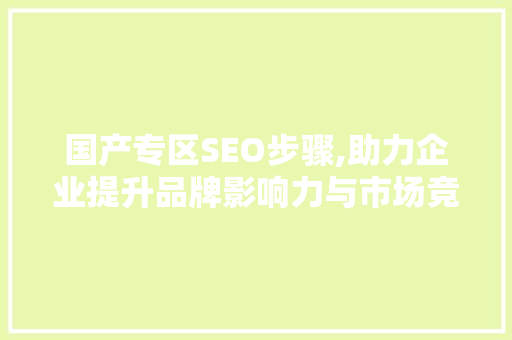 国产专区SEO步骤,助力企业提升品牌影响力与市场竞争力