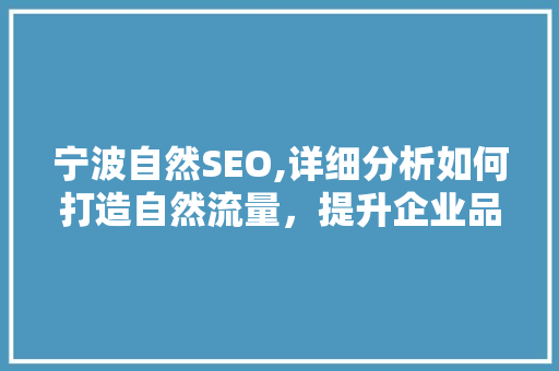 宁波自然SEO,详细分析如何打造自然流量，提升企业品牌影响力 GoogleSEO