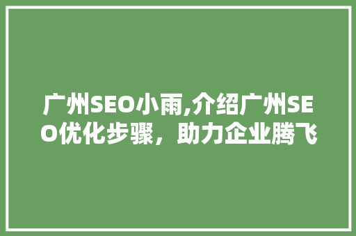 广州SEO小雨,介绍广州SEO优化步骤，助力企业腾飞 必应SEO