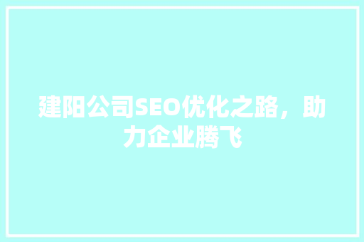 建阳公司SEO优化之路，助力企业腾飞 百度SEO