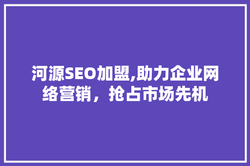河源SEO加盟,助力企业网络营销，抢占市场先机
