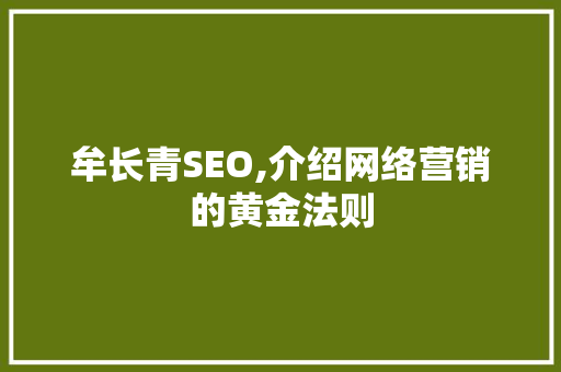 牟长青SEO,介绍网络营销的黄金法则