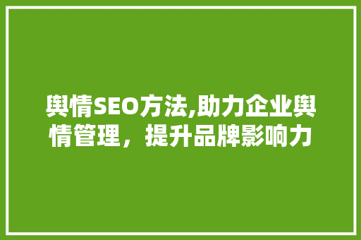 舆情SEO方法,助力企业舆情管理，提升品牌影响力