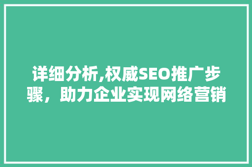 详细分析,权威SEO推广步骤，助力企业实现网络营销新突破 神马SEO
