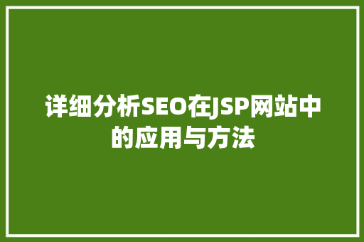 详细分析SEO在JSP网站中的应用与方法