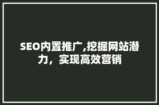 SEO内置推广,挖掘网站潜力，实现高效营销