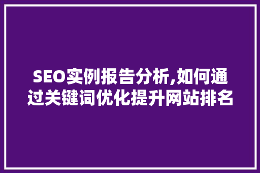 SEO实例报告分析,如何通过关键词优化提升网站排名